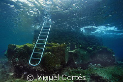 Stairs to the "other" world. by Miguel Cortés 